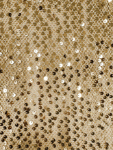 Load image into Gallery viewer, Joey the Label - Girls on Film Fltr Top - Champagne