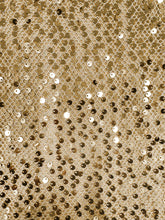 Load image into Gallery viewer, Joey the Label - Girls on Film Flutter Top - Champagne