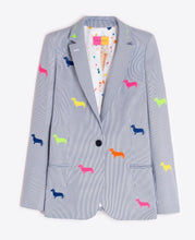 Load image into Gallery viewer, Vilagallo - Hannah Embroidered Stripe Jacket