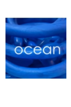 Load image into Gallery viewer, Flotsam Lifestyle - Thin Bangle
