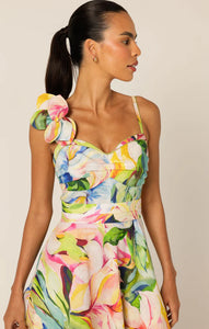 Sacha Drake - Camille Maxi Dress - Watercolour Floral